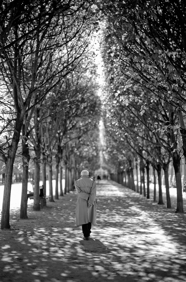 A man in Palais Royal. Leica M 240 with Leica 50mm Noctilux-M ASPH f/0.95.   