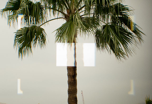 The view through the rangefinder of the camera. The overlaying image in the center is the one you use to match. When it is porecisely on top of the image of the palm tree, the palm tree will be in focus in the final image.
