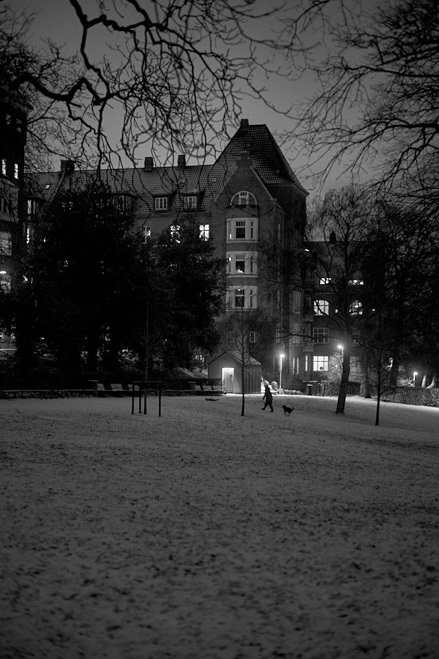 Skanseparken by night in Aarhus. Leica M10-P with Leica 50mm Summilux-M ASPH f/1.4. ©Thorsten Overgaard. 