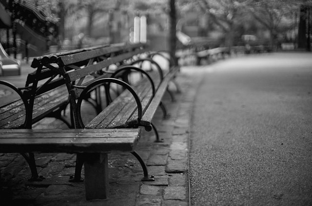 A park in New York. Leica M10-R with Leica 50mm Noctilux-M ASPH f/0.95. © Thorsten Overgaard. 
