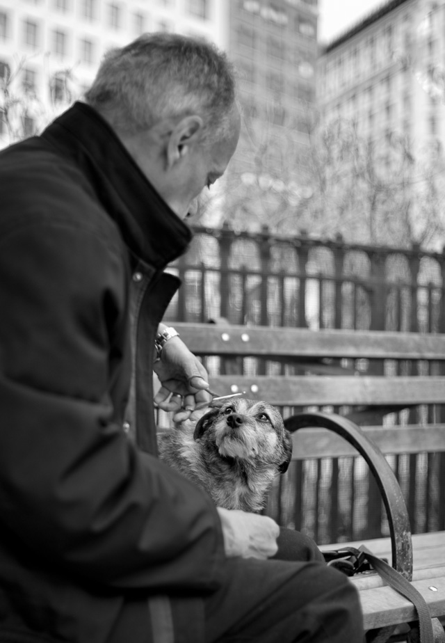 A dog and it's owner at Madison Square Park, New York, 2016. Leica M 240 with Leica 35mm Summilux-M ASPHERICAL f/1.4 AA. © 2016 Thorsten Overgaard.
