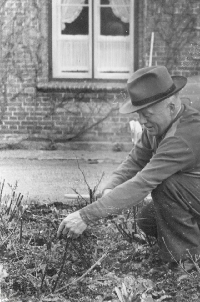 Johannes Clausen in the garden of Villa Nøjsomheden, 1958. He had lived in the suburb Risskov during the World War II and is said to have bought this villa to get away from the resistence bombing the railroad next to his villa in Risskov. However, the Villa Nøjsomheden also had a railroad at the end of the garden, and the local reistance leader Frederik von Lillienskjoldever bombed the Germans train transports just there at the edge of the garden. Hence it took a few years till the war eneded som Clausen could sleep at night without getting waked up by bombs.