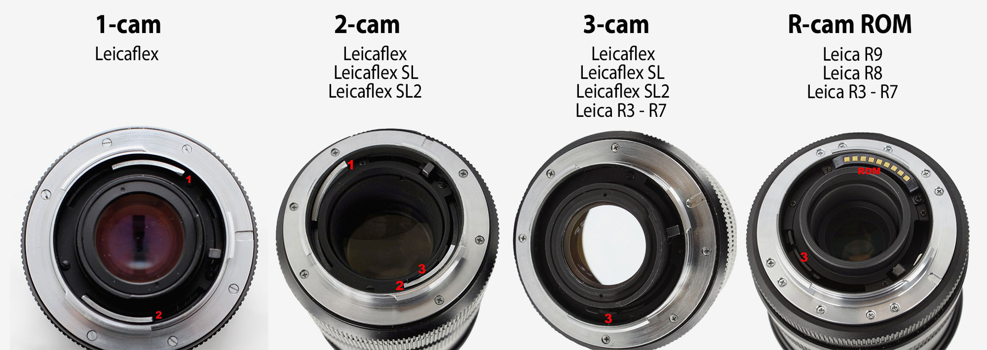 Cam = A Leica transmission system for the Leica R lenses, seen as metal parts inside the lens bayonet. (A cam is a rotating part in machinery, designed to