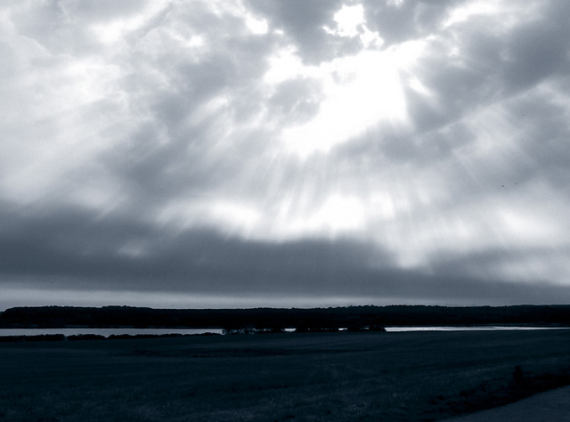 Danish landscape, September 2003. Leica Digilux 1, P mode, black & white in Photoshop, then added blue tones.