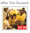 After The Tsunami