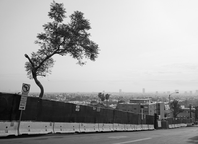 A view of Los Angeles from Sunset Boulevard in West Hollywood. Leica CL with Leica 18mm Elmar-TL f/2.8. © 2018 Thorsten von Overgaard.