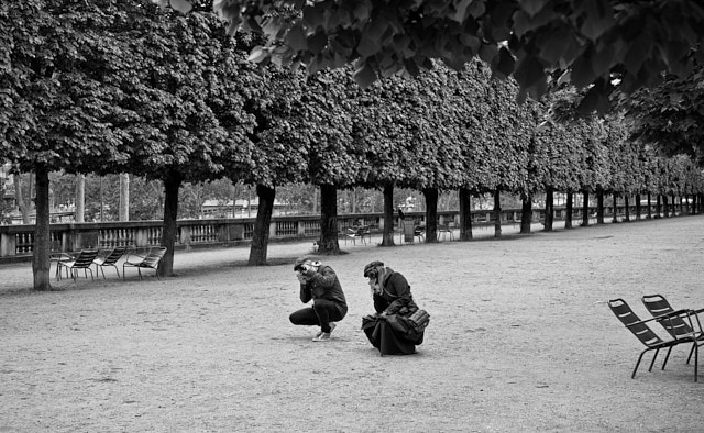 Thorsten and Layla in Jardin des Tuileries in Paris by Robert van Delden (Netherlands). Also see the Flickr album from Paris by Robert. 