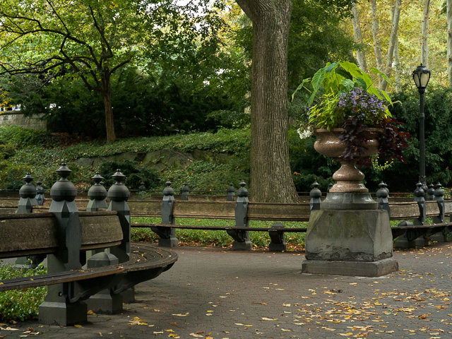 Central Park, New York. Hasselblad 907X with Hasselblad 80mm f/1.9  © Thorsten Overgaard.