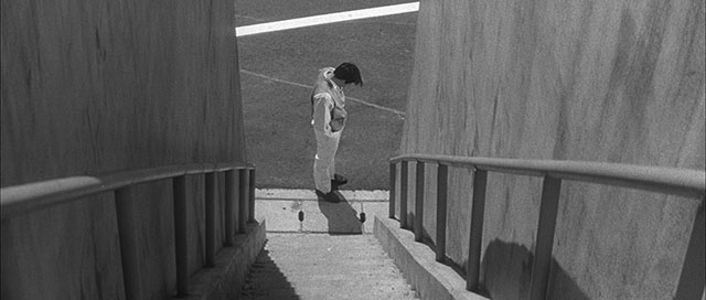 A beautiful frame from "Branded to Kill" (1967, directed by Seijun Suzuki, cinematography by Kazue Nagatsuka) where the white line behind the subject is glowing of light. Try and put a finger over to remove it so see what it does for the picture. 