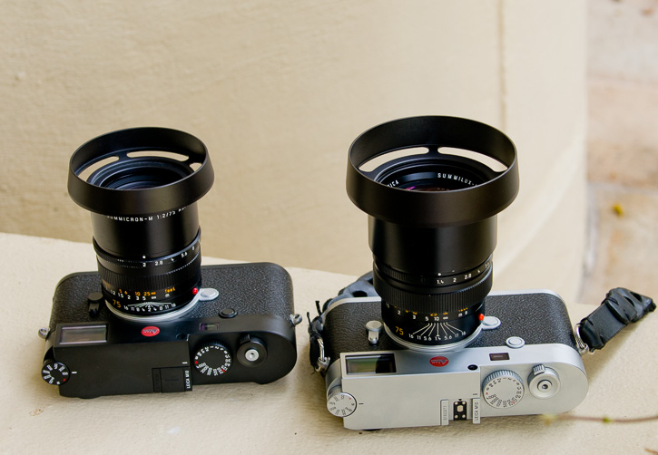 The 75mm Summicron with the E49 shade, and the 75mm Summilux with the E60-75 shade. 