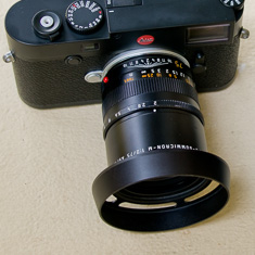 E49 ventilated shade Black Paint on Leica 75mm APO-Summicron-M ASPH f/2.0