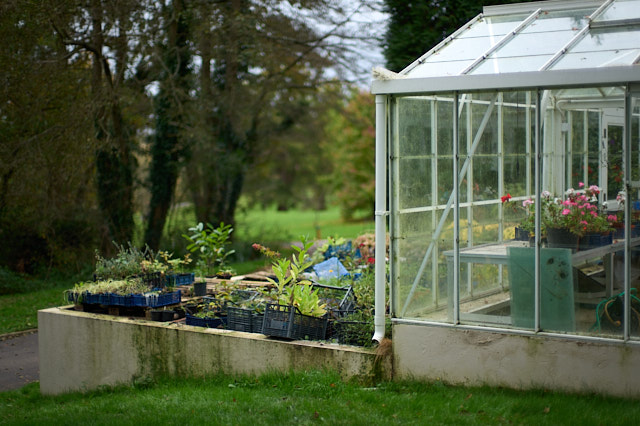 Early morning in the gardens. Leica SL3 with Leica 50mm Noctilux-M ASPH f/0.95. © Thorsten Overgaard. 

