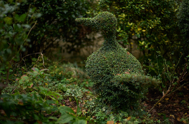 Early morning in the gardens. Leica SL3 with Leica 50mm Noctilux-M ASPH f/0.95. © Thorsten Overgaard.