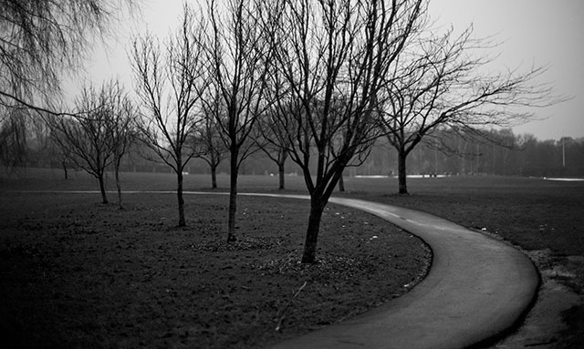 The park with its bare and cold trees and wet surfaces. It is dramatic, like a Dreyer movie, and photographically speaking, maybe it is more interesting like this than if it were sunshine, blue sky, and green grass. 800 ISO. Leica 50mm Noctilux-M ASPH f/0.95. © Thorsten Overgaard.