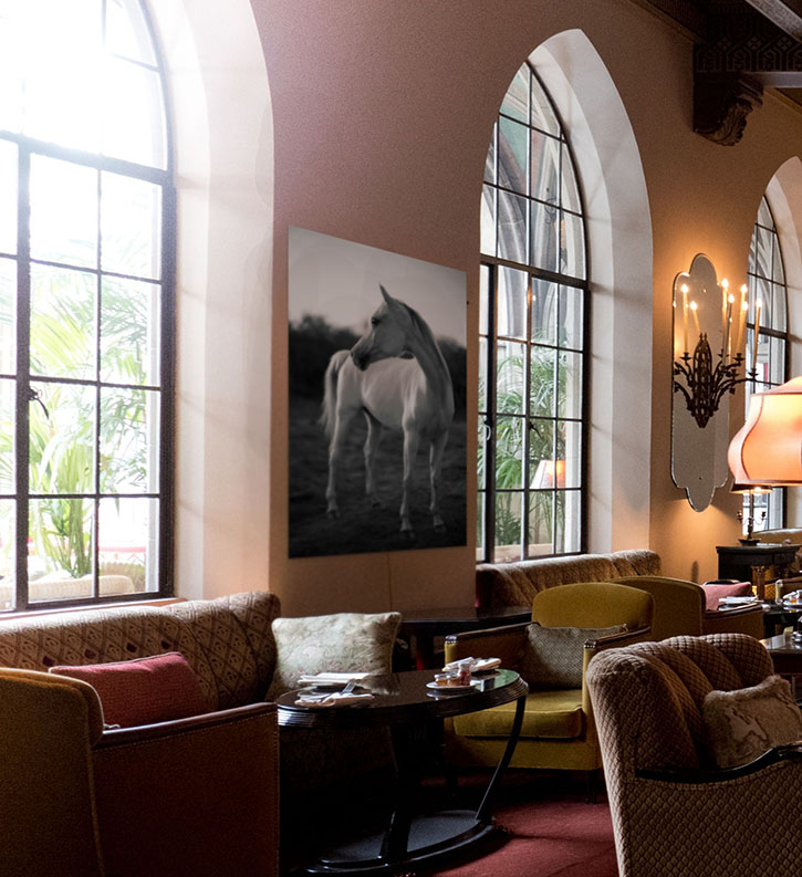 "White Horse" on 32 x 42 aluboard at Chateau Marmont in Los Angeles.