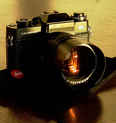 Leica SL mot and Leitz 80mm Summilux-R f1.4