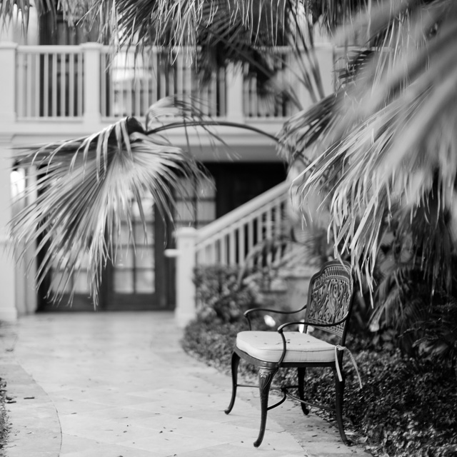Florida. Leica M10 with Leica 50mm Noctilux-M ASPH f/0.95 FLE. © 2017 Thorsten Overgaard. 