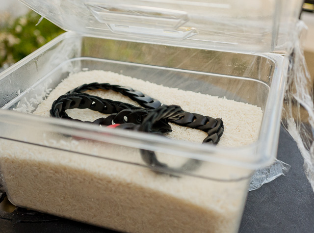 1. Put the camera in a box with (unopened) fresh rice and wrap the box so it is sealed. The camera is covered in rice. 