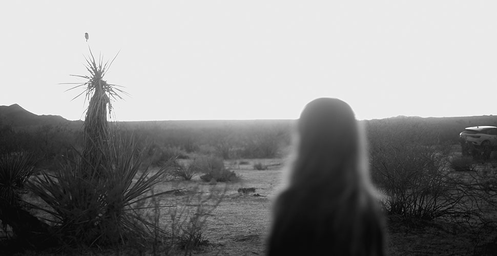 At the Joshua Tree in California. Leica M10-R Black Paint with Leica 50mm Summilux-M ASPH f/1.4 BC. © Thorsten Overgaard