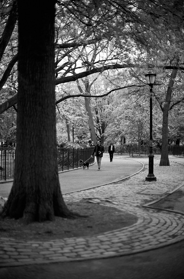 Tompkins Square Park. Many of the parks in New York have "square park" in their names, which I find unnecessary since square parks are more common than oval parks. However, it does have a good ring to it. In this photo the park looks less quare. Leica M10-R with Leica 50mm Noctilux-M ASPH f/0.95. © Thorsten Overgaard. 