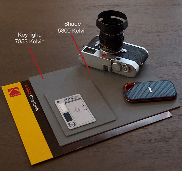 The difference between the key light and the reatively soft shade is 2000 Kelvin in this picture.