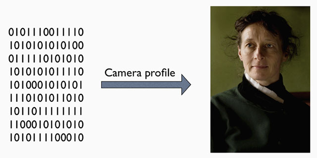 A raw file (or DNG) is simply the full recording of digital data (1's and 0's) from the sensor. In the computer, the sensor data is translated into the exact colors, via a camera profile.